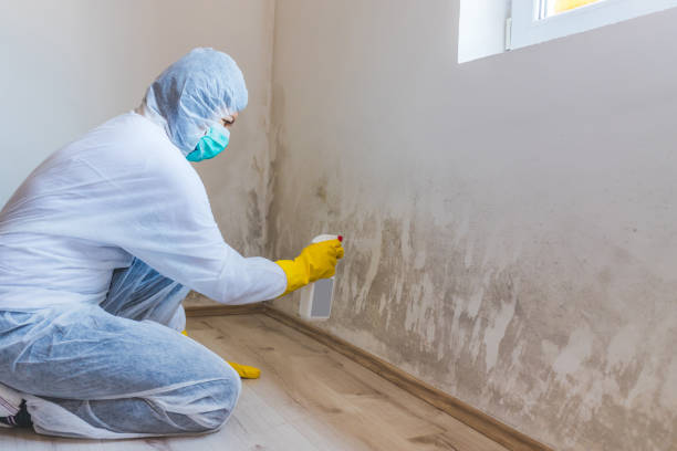 Mold Remediation specialist working in Jessup
